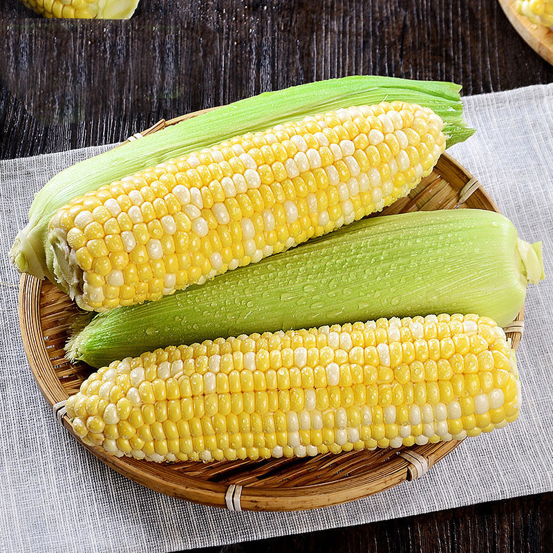 แช่แข็งข้าวโพดแห้ง แช่แข็งข้าวโพดแห้ง