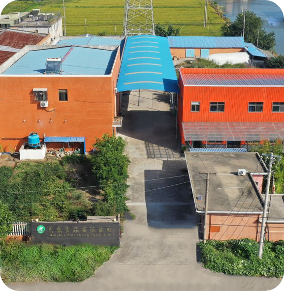 บริษัท Xinghua Maosheng Food Co. , Ltd.