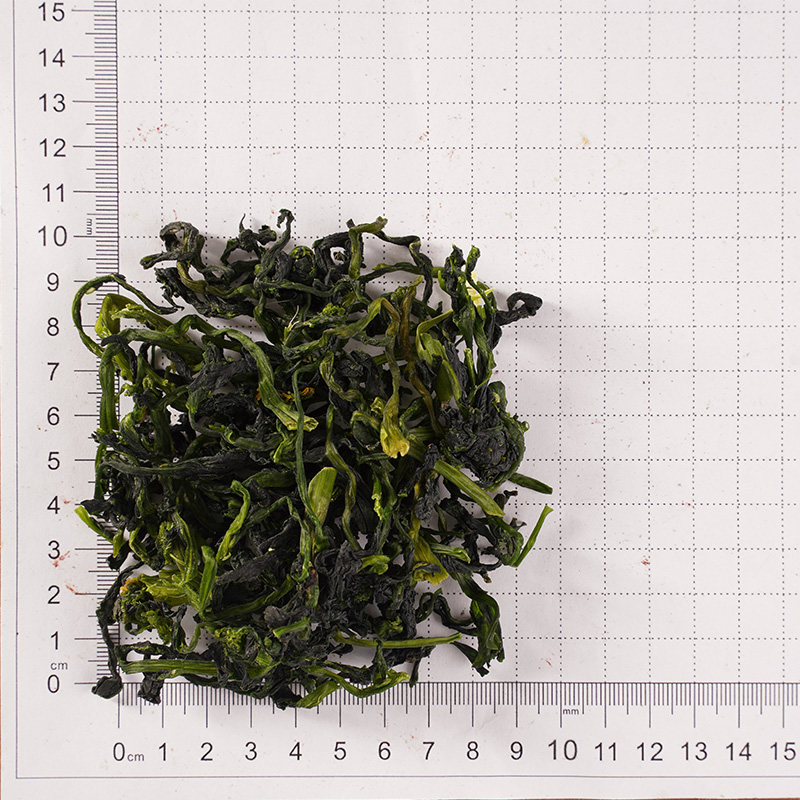 ผักก้านสีเขียวแห้ง ผักก้านสีเขียวแห้ง