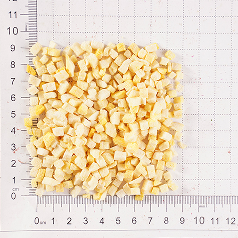 แช่แข็งฟักทองแห้ง แช่แข็งฟักทองแห้ง