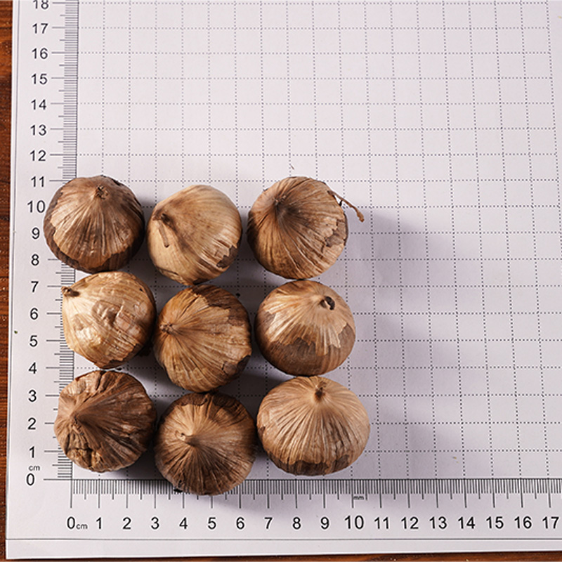 กระเทียมสีดำ กระเทียมสีดำ