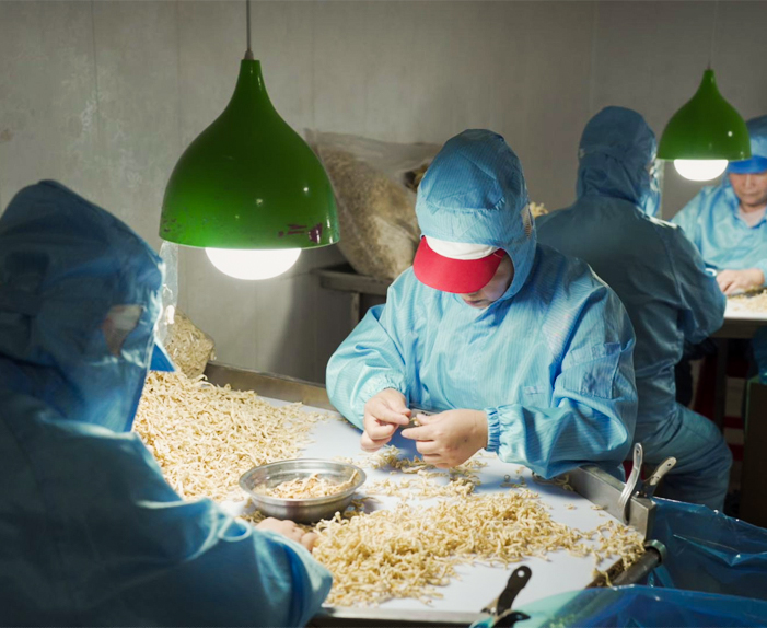 บริษัท Xinghua Maosheng Food Co. , Ltd.