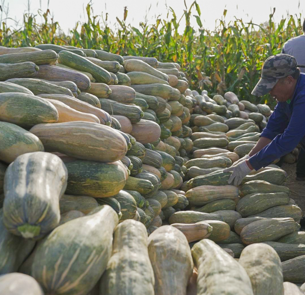คุณภาพและกระบวนการ
